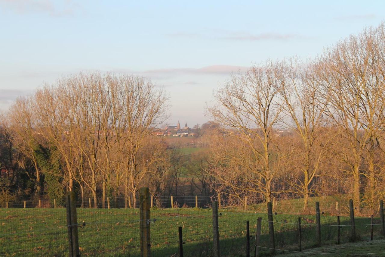 Vakantiewoning Leberg Brakel Esterno foto